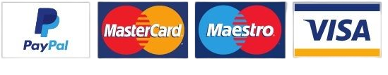 paypal mastercard maestro visa logo side by side